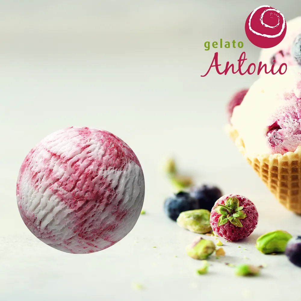Gelato Antnio Fruits of the Forest-Yoghurt Icecream
