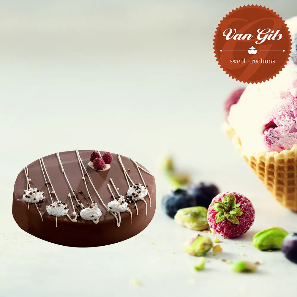 Vanilla-Chocolate Ice Cream Cake